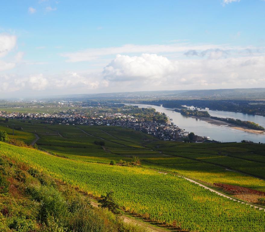 Gasthaus Weingut Stahl Обервезел Екстериор снимка