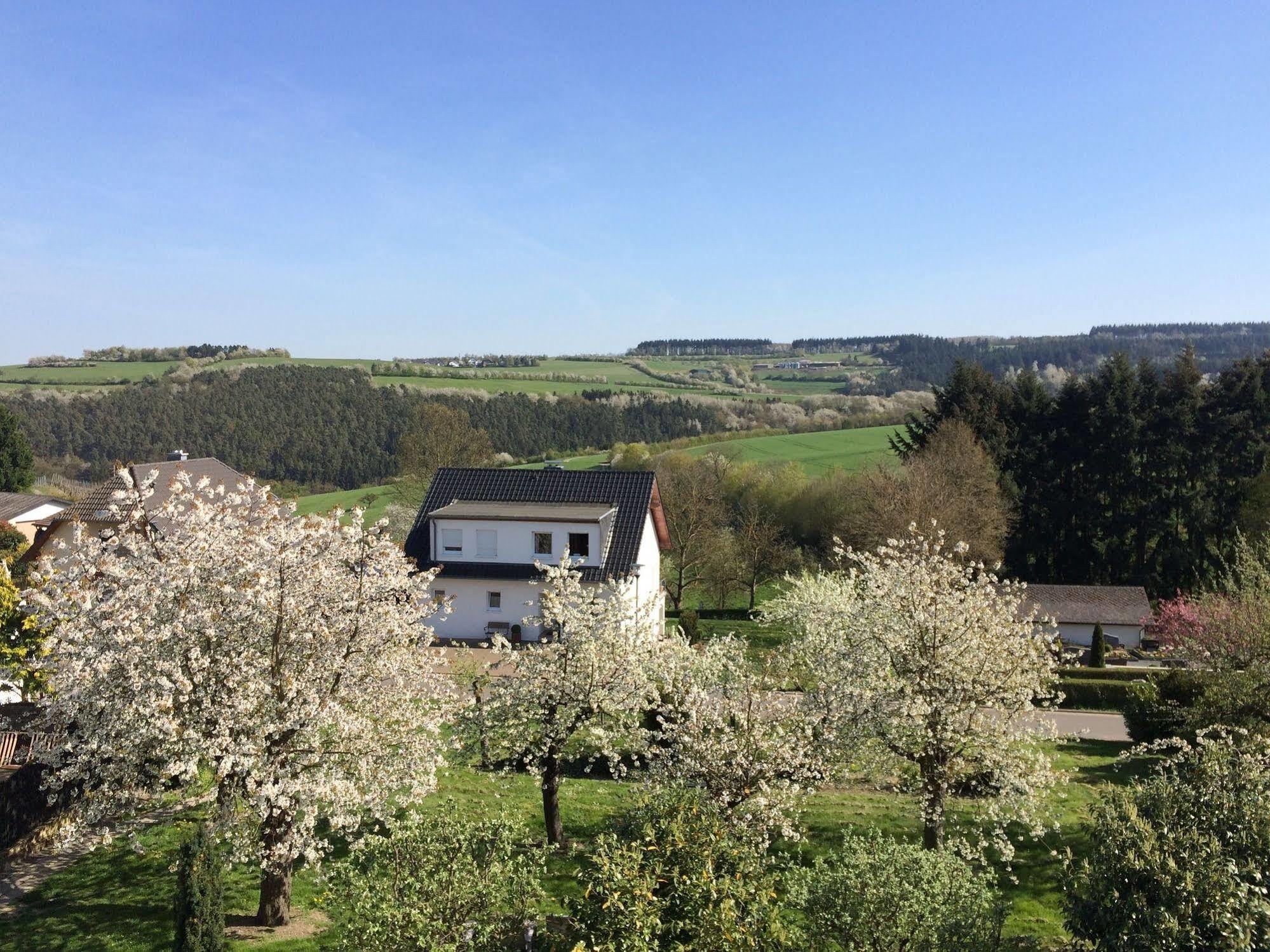 Gasthaus Weingut Stahl Обервезел Екстериор снимка